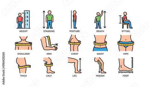 Illustrated guide to body measurements and posture for tailoring and fitness