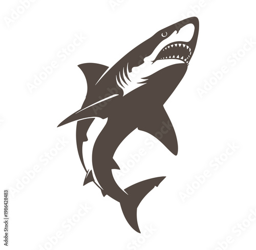 Brown shark swimming upwards with open mouth and sharp teeth
