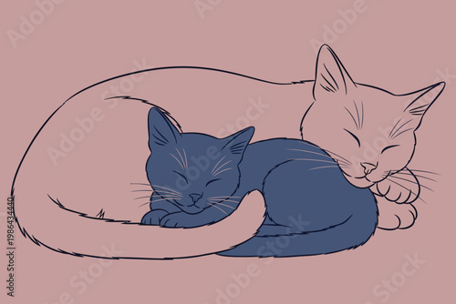Two cats sleeping peacefully together in a curled-up position