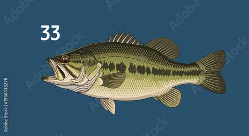 Largemouth Bass Fish Illustration Isolated on Blue Background with Map Outline
