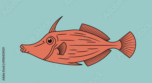 Orange Fish Illustration