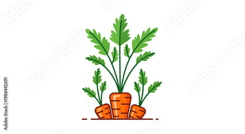 Carrot plants growing in the ground, healthy root vegetable illustration