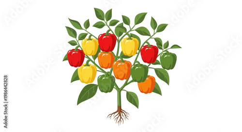 Colorful Bell Peppers Growing on Plant with Roots and Leaves, Isolated