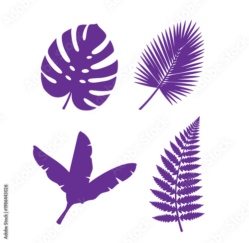 Purple tropical leaves including monstera palm fern and butterfly on white background