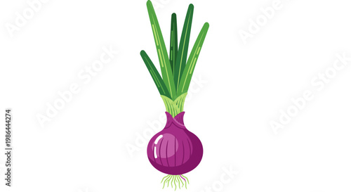 Fresh Red Onion with Green Stalks and Roots, Isolated on White Background