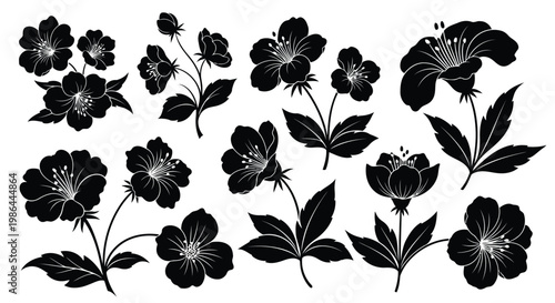 Adobe Illustrator Artwork