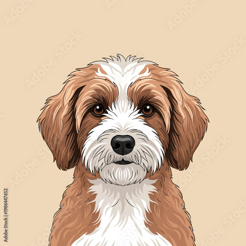 Detailed vector illustration of a cute brown and white fluffy doodle dog portrait featuring floppy ears and dark eyes, front-facing domestic pet head on light beige background.
