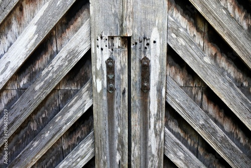 The broken metal door handle cover plate on an old wooden door with a distinctive wood texture