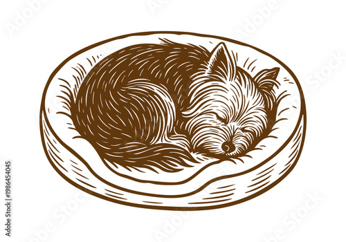 Yorkshire Terrier Dog hand drawn simple sketch vector illustration