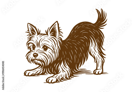 Yorkshire Terrier Dog hand drawn simple sketch vector illustration