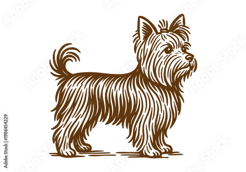 Yorkshire Terrier Dog hand drawn simple sketch vector illustration