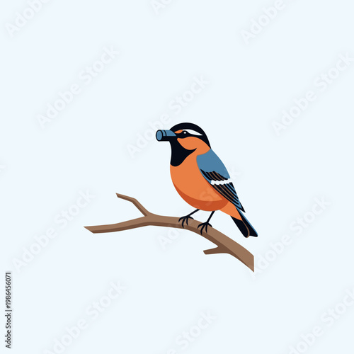 Minimalist flat vector illustration of a small songbird with an orange breast, blue wings, and black head perched on a wooden branch while holding a camera lens in its beak.