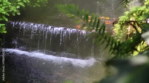 Small forest waterfall flowing over rock ledge in misty garden environment with green foliage.