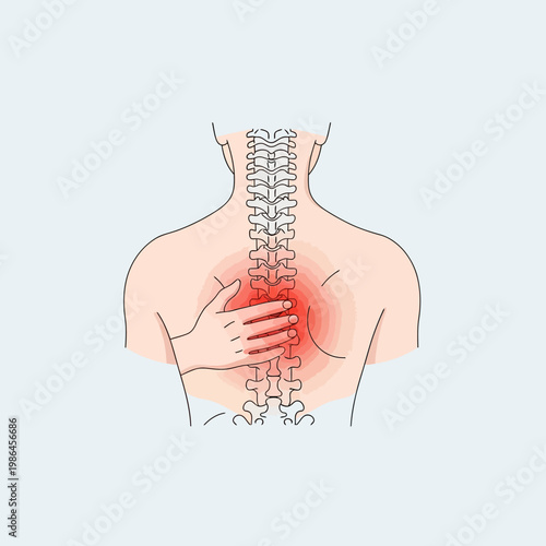Medical vector illustration of a human back from behind showing the spinal column vertebrae with a red glow indicating pain or inflammation and a hand touching the affected area.