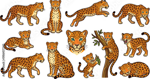 Leopard cartoon set featuring spotted big cats, playful cubs, climbing and resting poses, wildlife animal characters in detailed flat vector illustration style