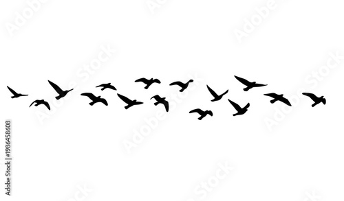 Flying bird silhouettes scattered composition with dynamic motion simple minimal vector illustration