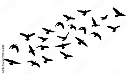 Flock of birds flying in formation simple black silhouette vector illustration isolated on white