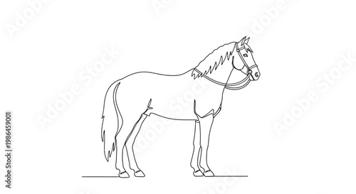 Line Art Horse Silhouette, Equestrian, Animal Drawing, Vector Illustration
