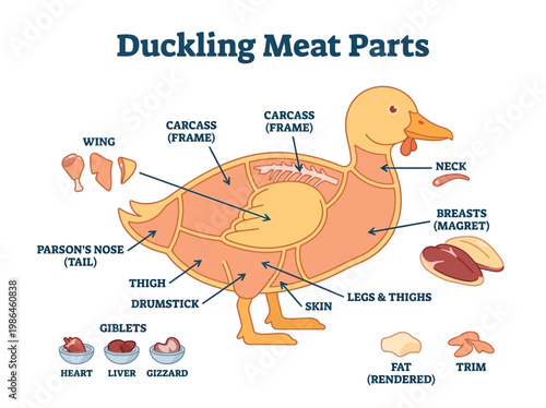 Diagram illustrating the various cuts of duck meat, including breast, thigh, wing, and giblets