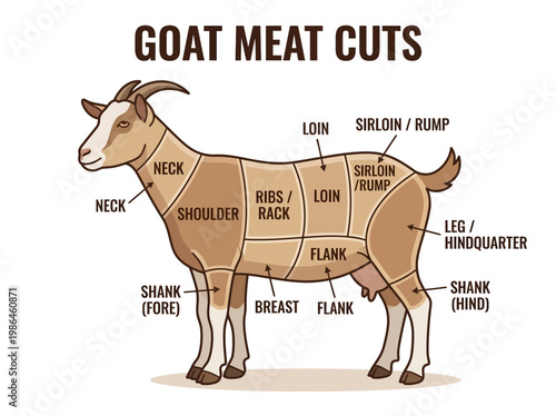 Detailed diagram illustrating the various cuts of goat meat, labeled for easy identification and cooking preparation