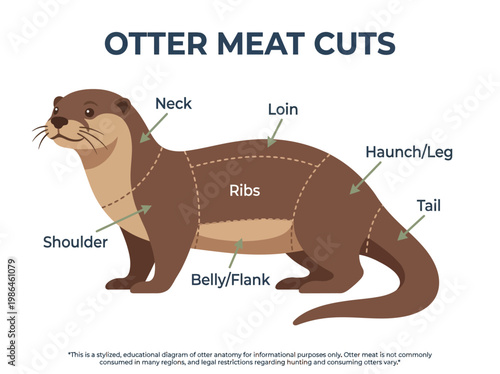Diagram illustrating the different meat cuts of an otter, including shoulder, neck, ribs, belly/flank, loin, haunch/leg, and tail