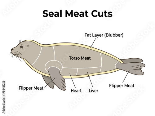 An informative infographic illustrating the various cuts of seal meat, including torso, flipper, heart, liver, and blubber