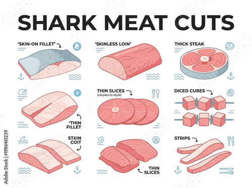 Diagram illustrating various cuts of shark meat, including skin-on fillet, skinless loin, thick steak, thin slices, diced cubes, and strips