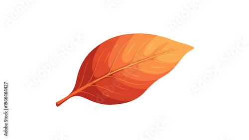 Single orange leaf on white background.