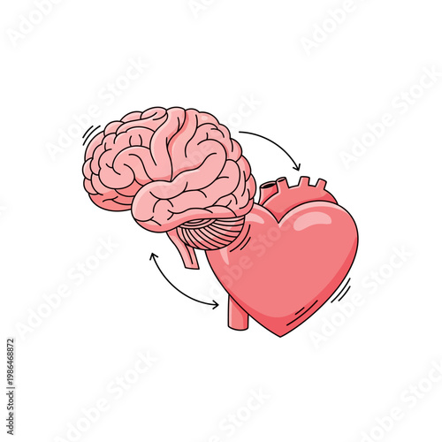 Conceptual vector illustration of a pink human brain and a stylized red heart connected by circular black arrows on a white background, representing logic, emotion, and intuition.