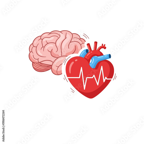Vector illustration of a pink human brain next to a red anatomical heart featuring a white electrocardiogram pulse line, representing the connection between logic and emotion.