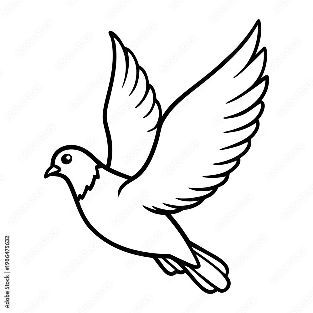 Fototapeta premium Pigeon