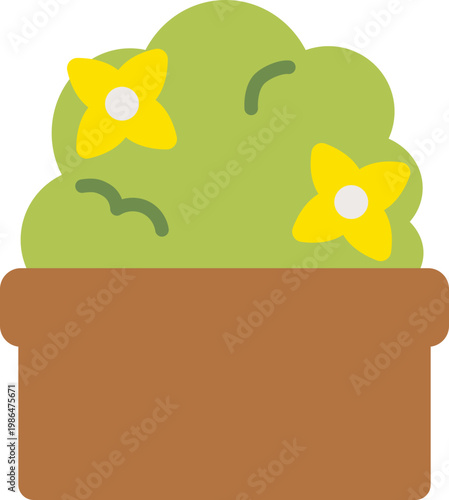 화분에 담긴 식물