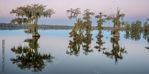 Canvastavla Cypress Trees Reflecting in Calm Water at Sunrise