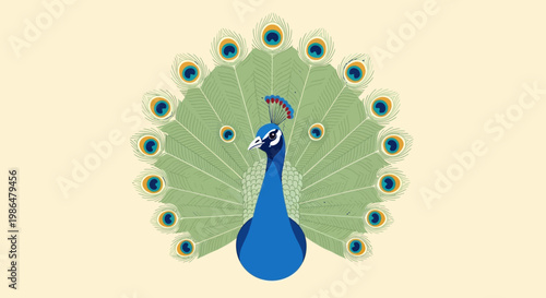 Elegant peacock in full display with iridescent blue and green plumage.
