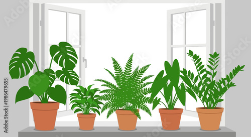 Sunlit Windowsill with a Variety of Vining and Tropical Indoor Plants in Ceramic Pots.