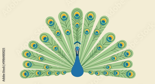 Elegant Peacock Display Showcasing Iridescent Tail Plumage.