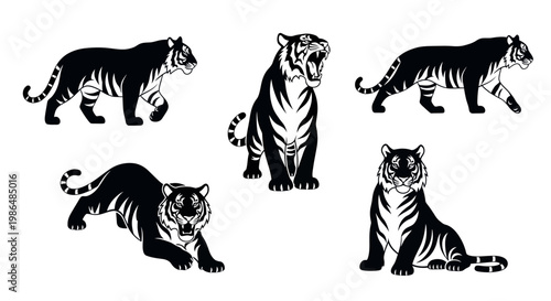 Collection of five striking black and white tiger illustrations in various dynamic poses, showcasing their raw power and elegance