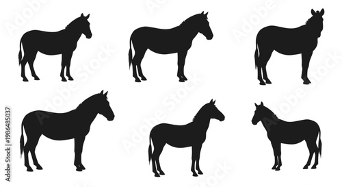 Silhouette images of horses in a staggered pattern, showcasing their form and structure