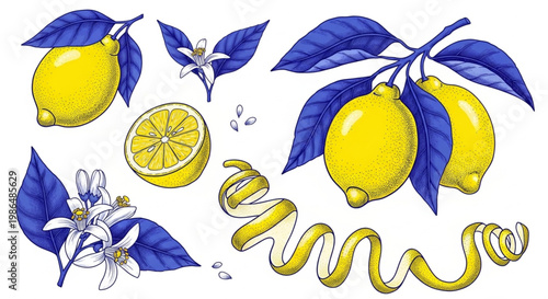 Vibrant Botanical Lemon Elements Set Hand-Drawn Illustration of Fresh Citrus Fruits, Zesty Slices, Blossoms, and Spiraling Peel for Design Concepts