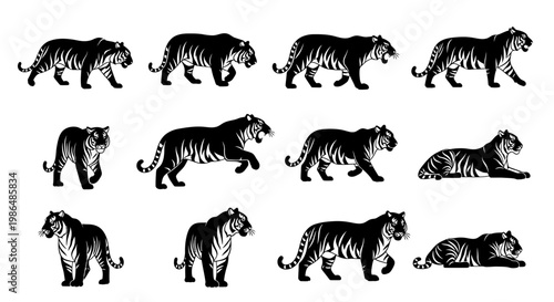Dynamic collection of various tiger illustrations showcasing different poses and movements, capturing the essence of the majestic big cat in a striking black and white vector art style