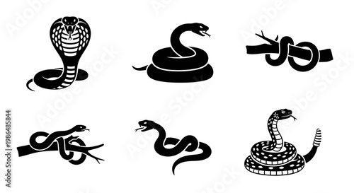 Diverse collection of black and white snake illustrations, showcasing various reptile poses, intricate serpentine shapes, and symbolic coiled designs perfect for wildlife and animal-themed graphics