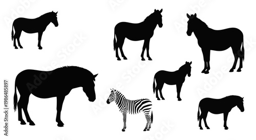 Collection of Silhouettes and a Striped Zebra Illustrating Equine Diversity and Natural Beauty