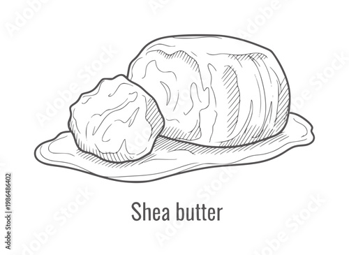 Hand drawn shea butter lumps a surface with text food ingredient