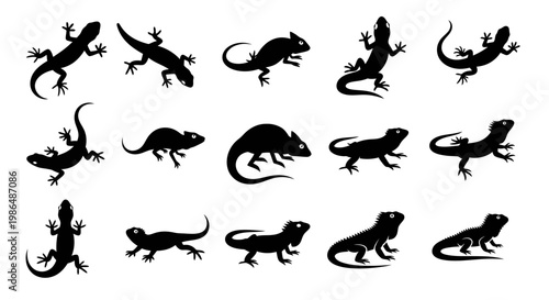 Diverse collection of black lizard silhouettes, featuring various gecko and chameleon designs, perfect for graphic elements and reptile-themed projects