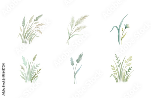 Fotografía Watercolor grass icons set isolated on white background