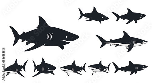 Collection of Diverse Shark Silhouettes and Illustrations Showcasing Different Angles and Poses