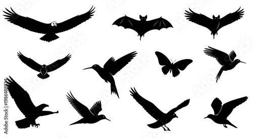 Captivating silhouettes of diverse flying creatures, showcasing majestic birds, a soaring bat, and a delicate butterfly in dynamic aerial poses