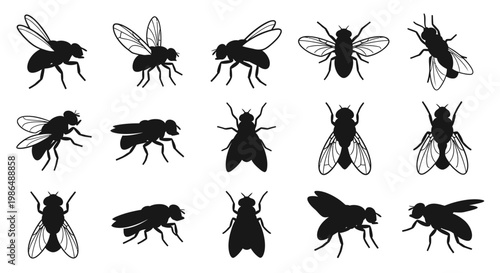 Diverse collection of various fly silhouettes, perfect for illustrating insects and pest control concepts