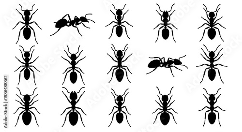 A comprehensive vector collection of diverse ant silhouettes, illustrating various forms and poses of these common insects for educational and design projects
