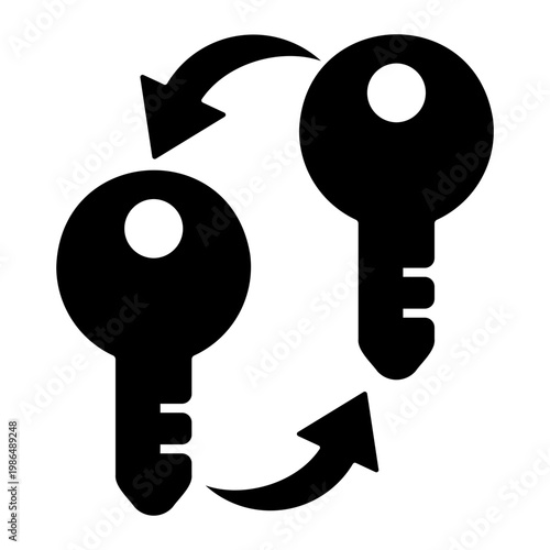 duplicate Solid icon